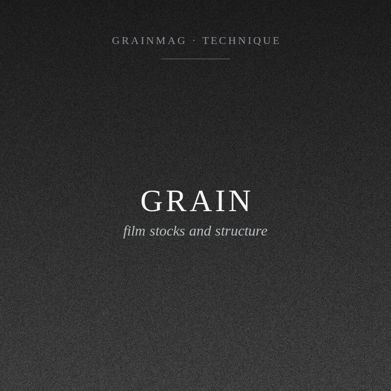 Film Grain Versus Digital Noise: Different Physics, Different Texture