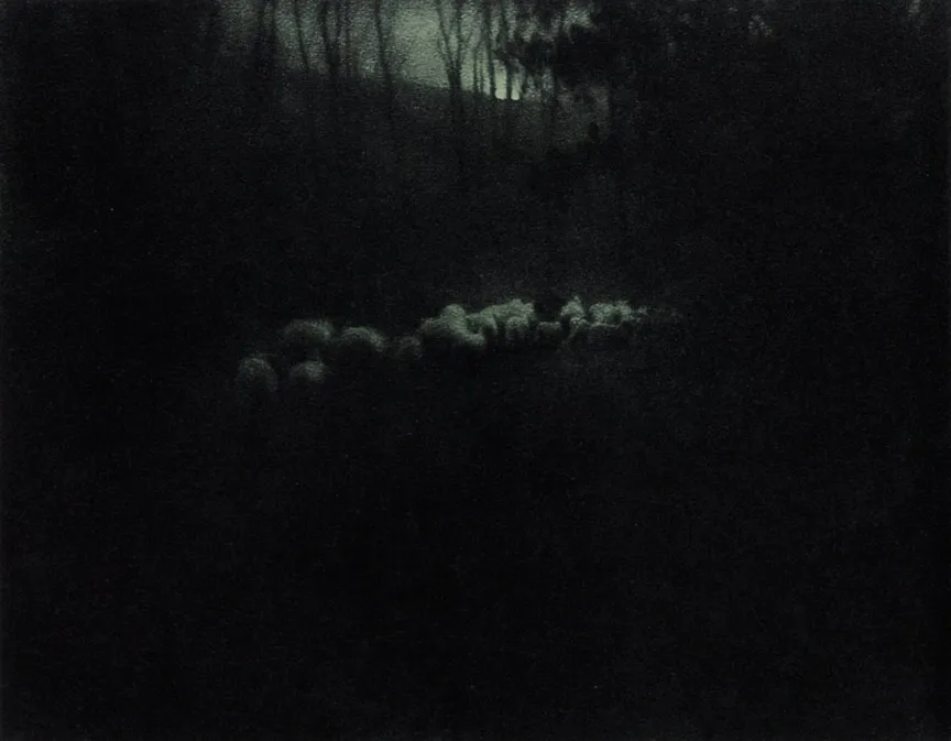 Edward Steichen، Pastoral—Moonlight (1907)، نُشرت في Camera Work No. 20