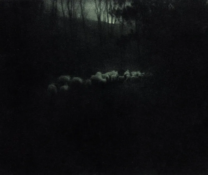 Michael Kenna: الطبعة المربعة وتعريض الليل لساعات طويلة